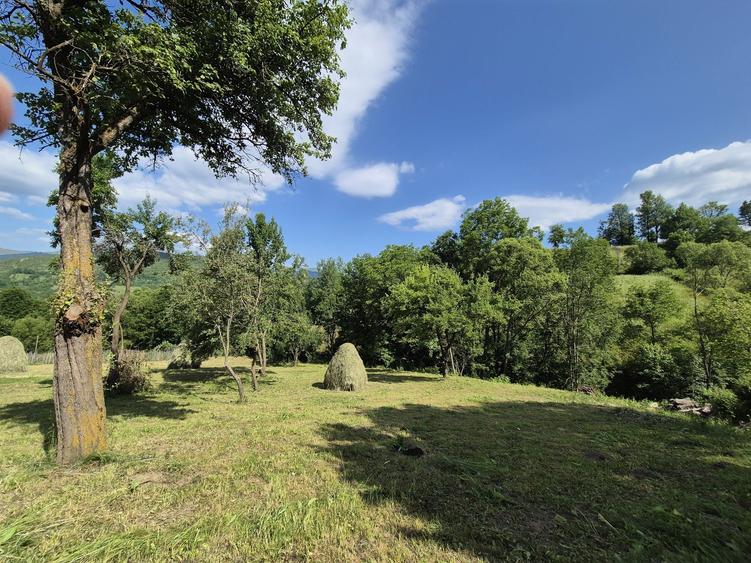 Vand 1200 mp teren parcelabil in Valea Doftanei . Prahova - 4