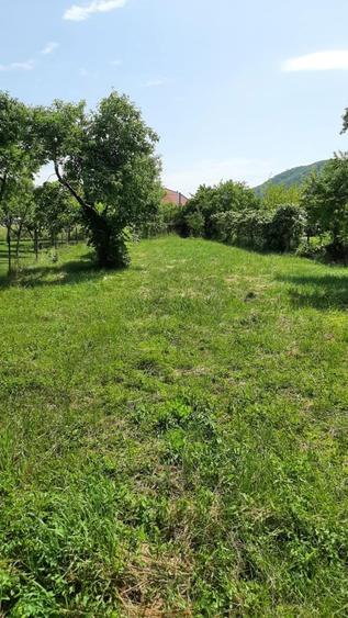 Casa de Locuit Sovata 2 camere Bucatarie 1 c - 1