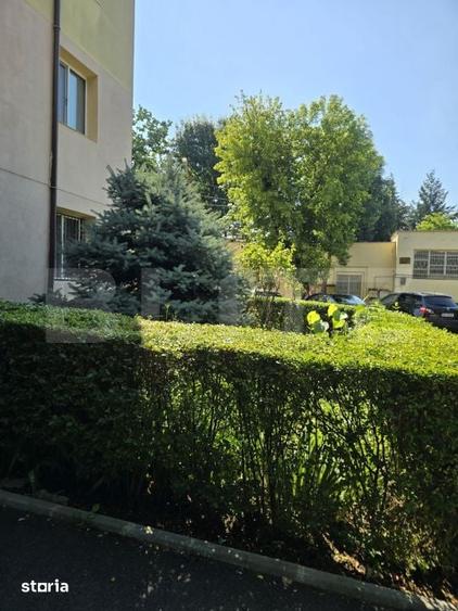 Apartament 3 camere, etaj 1, zona linistita ideal pentru locuit sa - 3