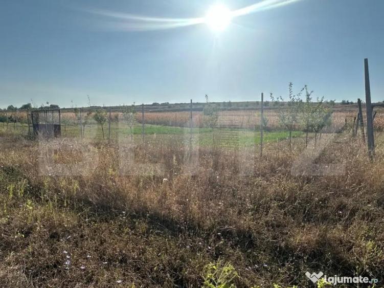 Teren extravilan, 500 mp, Oarda de Jos - 2