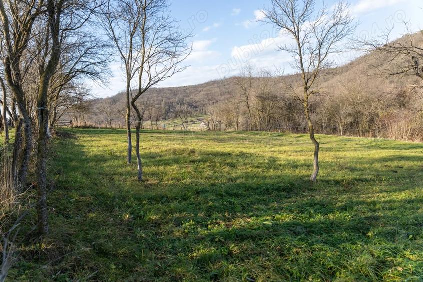 Casa de vanzare in Bozed, judetul Mures, renovata, cu sura si teren cu livada - 5