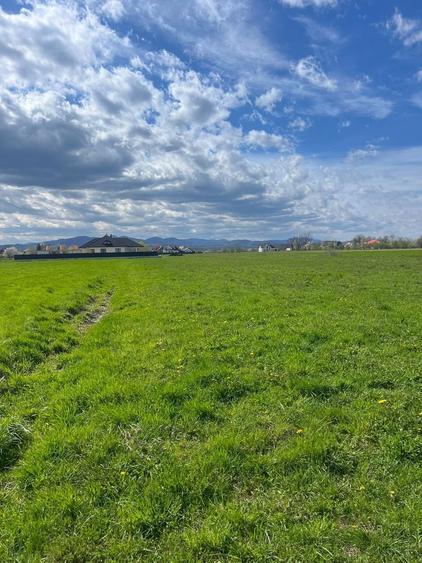 Teren Vicovu de Sus centru 36 ari intravilan - 5