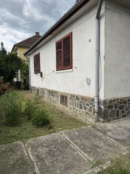 Casa individuala 170mp utili ,teren 900 mp -zona Parcul Sub Arini - 3