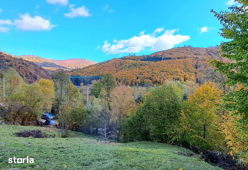 Teren de 2000 mp, în Valea Doftanei