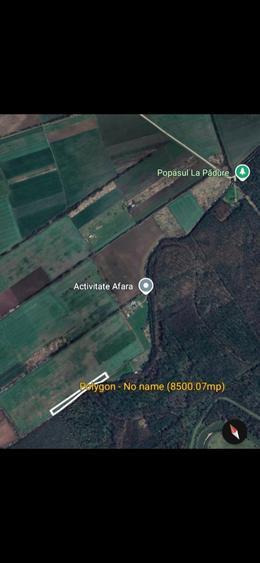 Giroc- teren extravilan- 8500 mp - front 375m- padure - 2