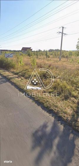 De Vanzare Teren 9.362 mp Targu Carbune?ti - 6