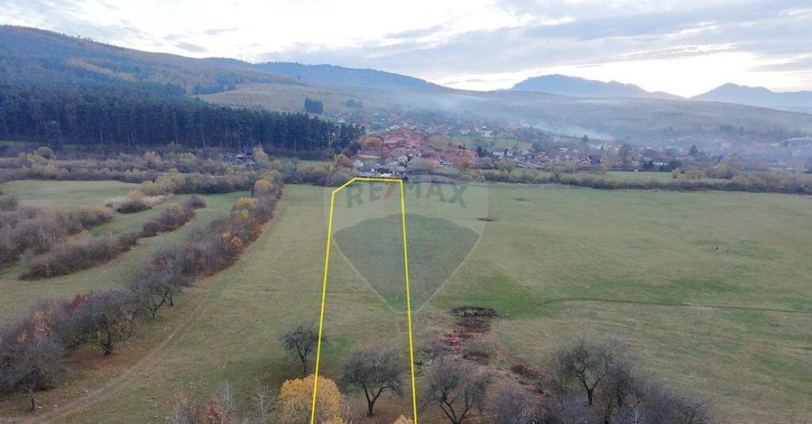 Teren 5.800 mp Purcareni curent, gaz, apa / Strada 30 de... - 8