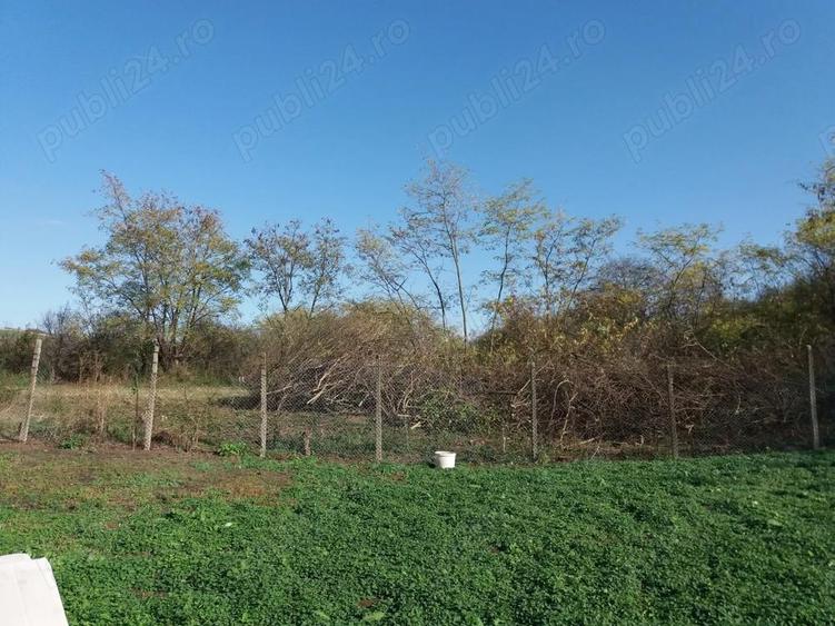 Teren cu casa la tara - 1
