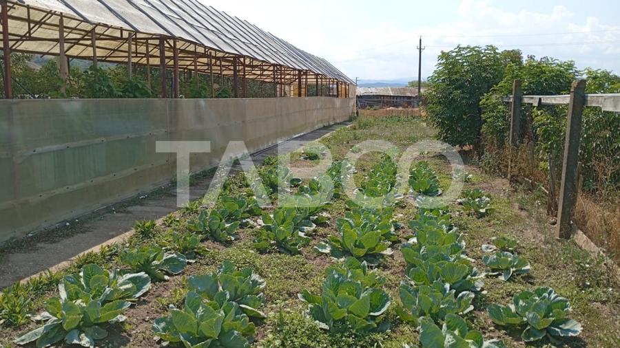 Casa cu curte si gradina de vanzare in Sebes judetul Alba - 10