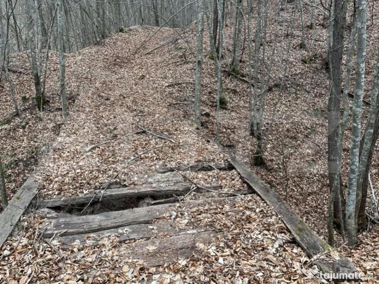 Teren extravilan de vanzare, 3.5 ha padure + pasune in Comun - 6