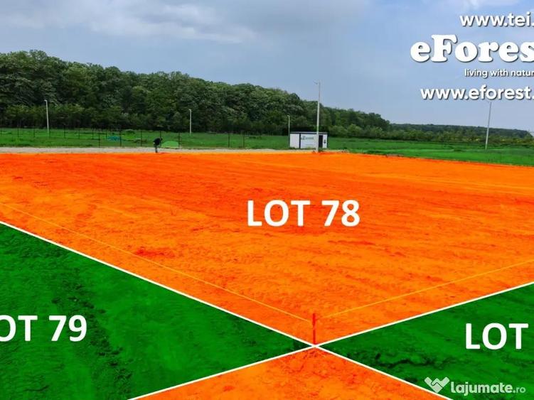 Lot lini?tit langa padure, langa Academia Titi Aur, Crevedia - 6