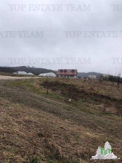 Casa de vanzare in Stanomiru  Judetul Valcea cu un teren in suprafata de 320000 - 4