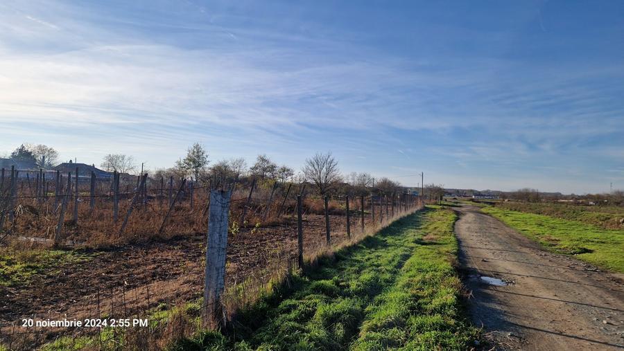Teren de vanzare - 1