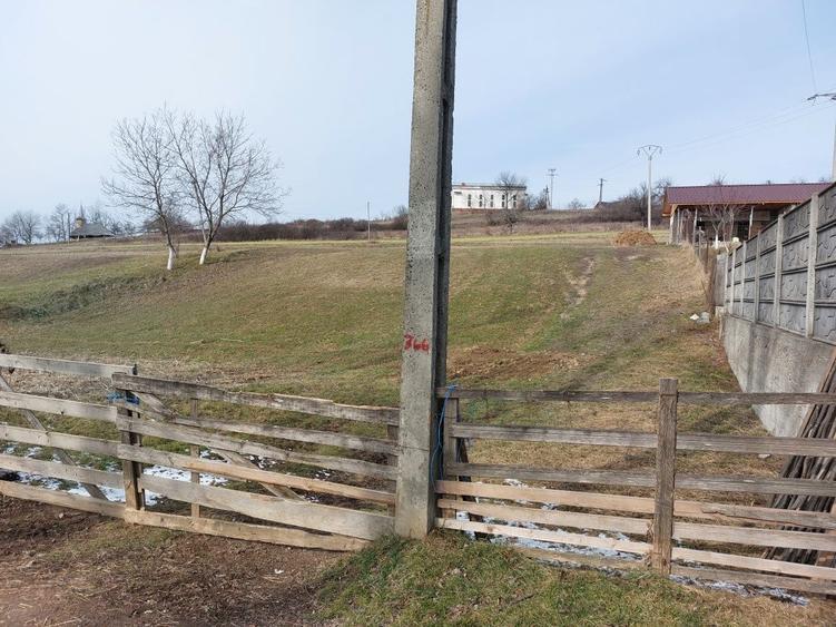 Teren intravilan in Valea Crisului - 6