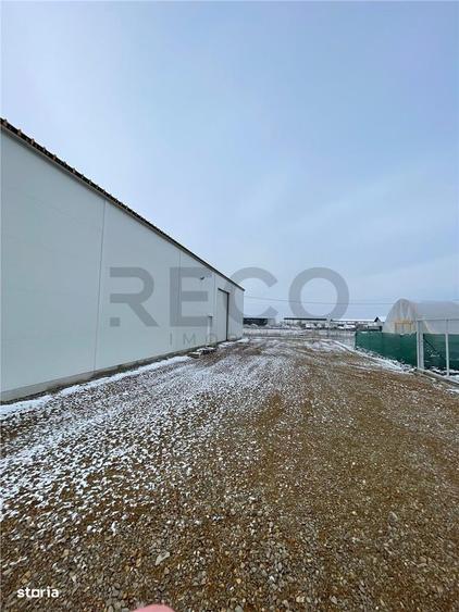 RECO hala cu teren in Osorhei - 2