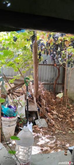 Vand casa pret avantajos !! - 3