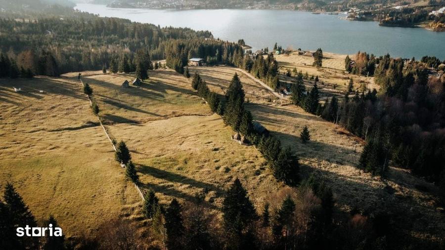 Teren de 1000 mp, în Colibița