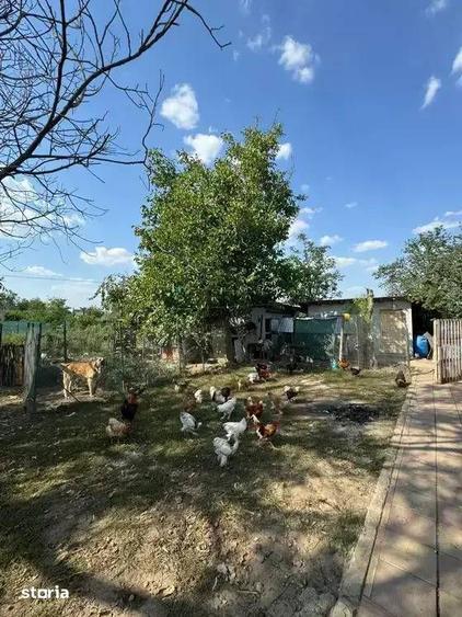 Casă cu 5 camere cu Canalizare în Ion Roată