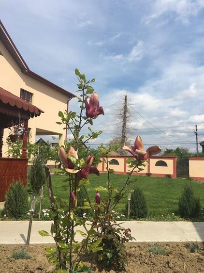 Casă cu 4 camere în Grădinari