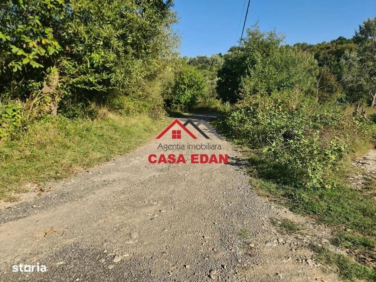 Teren intravilan in Cornu (Ph)--1490 mp--29e - 7