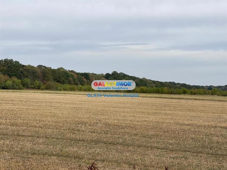 Vanzare teren 3300 mp Peris -deschidere padurea Scrovistea - 1