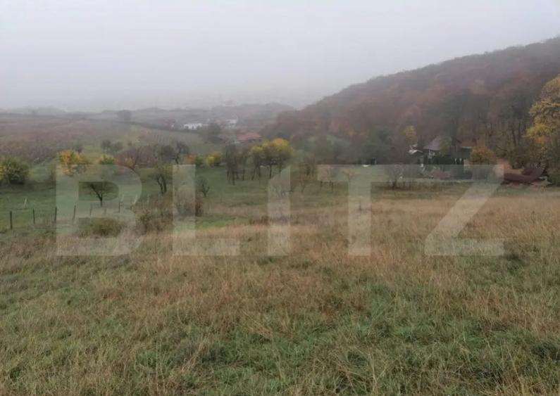 Teren de 1808 mp utilitati apa, gaz, curent in apropiere, zo - 2