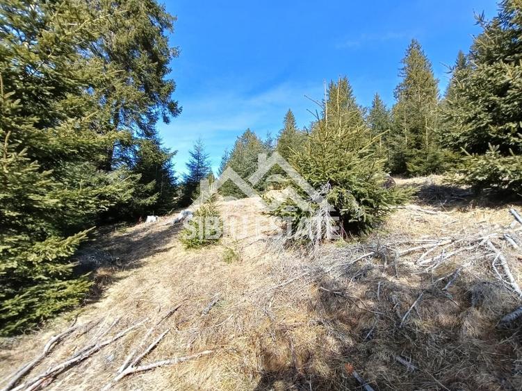 Teren de vânzare în zona montană a județului Alba - 1