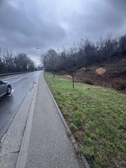 Schimb teren in Campina cu autoturism - 6