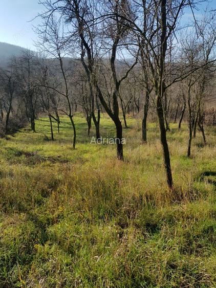 Vand doua case in sat 23 August sau schimb cu garsoniera in Severin