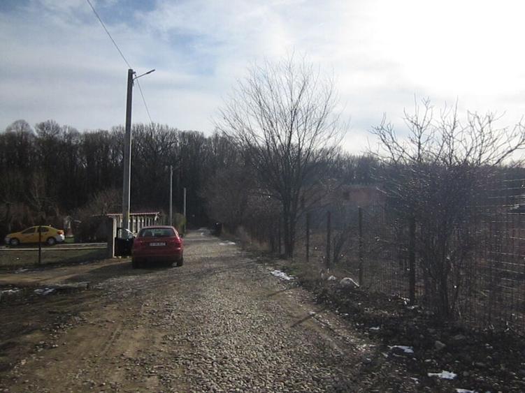 Domnesti-Teghes-Padure - 5