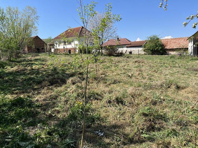 Casa de vanzare! Propietate ideala! - 6