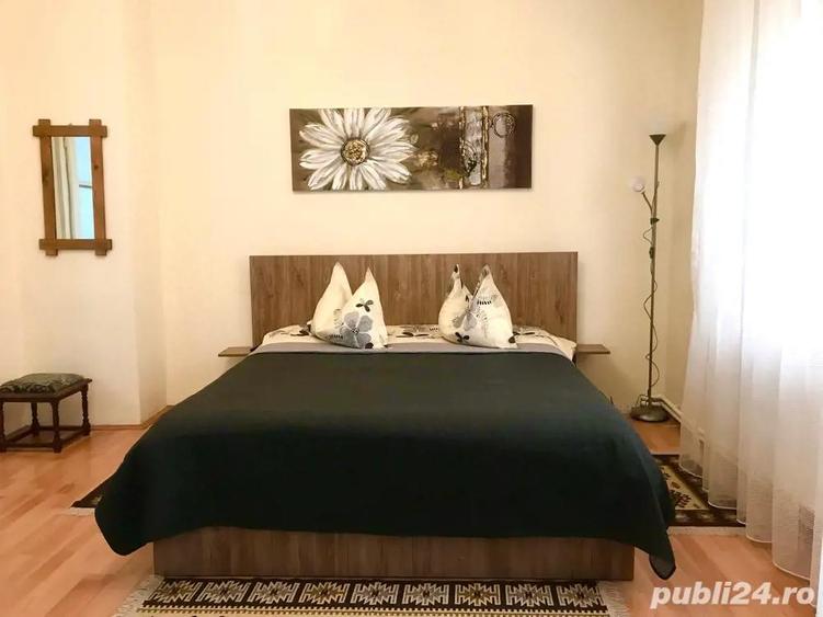 Casa de inchiriat pe termen lung in Busteni - 3