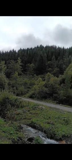 TEREN DORNA ARII - 14