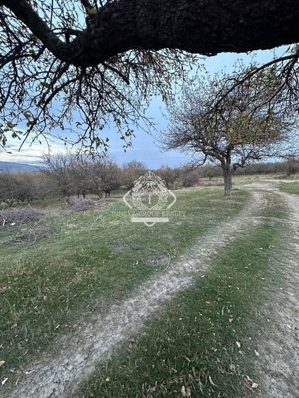 Teren 7199mp Intravilan cu Vedere Panoramica Superbă, Ideal Investitie - 20