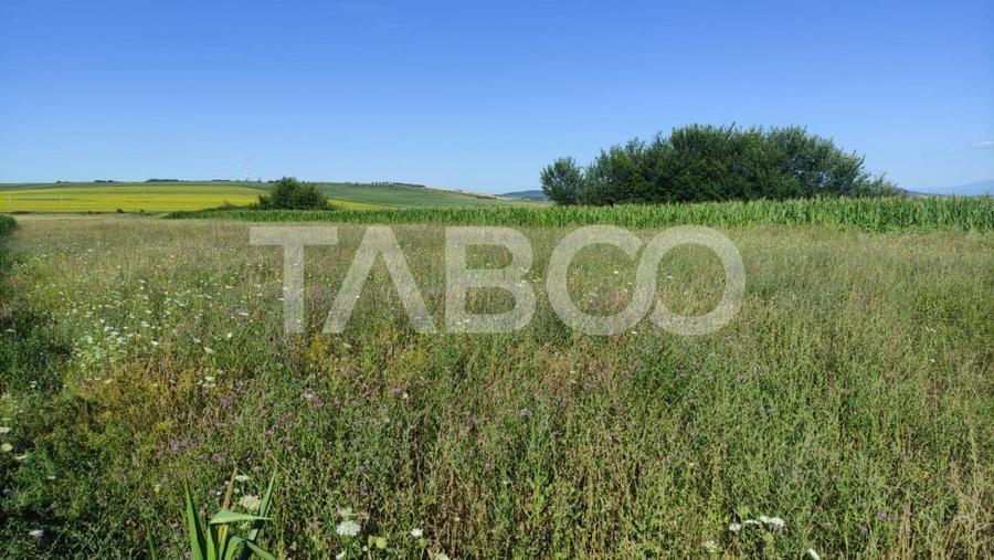 Teren extravilan de vanzare 25920 mp in Sura Mica Sibiu - 4