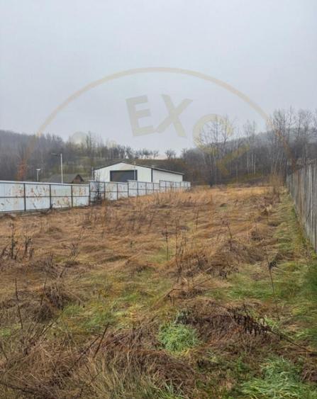 Teren 1758 mp DN7 - Prislopu Mare, Draganu! - 4