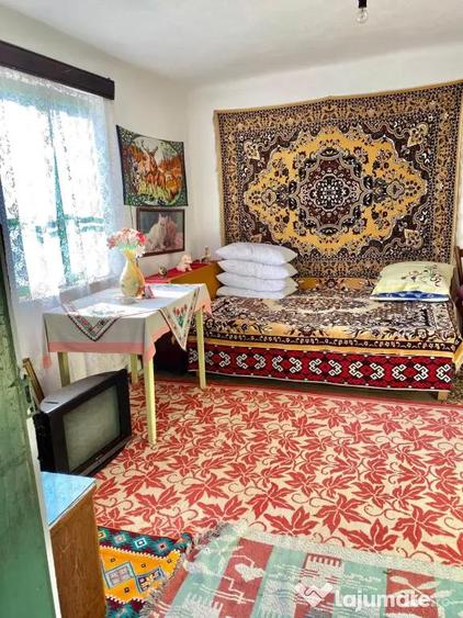 Casa tradi?ionala ?i teren generos intr-o zona turistica cu mare poten?ial Rame?ti - 8