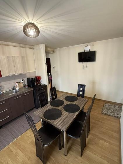 Proprietar - Apartament 3 Cam. Bvd. Dambovita-Sagului Mobilat/Utilat - 10