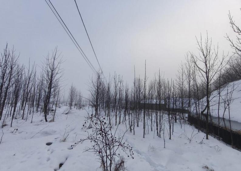 Teren intravilan , 5000mp, zona Negostina, Siret - 3