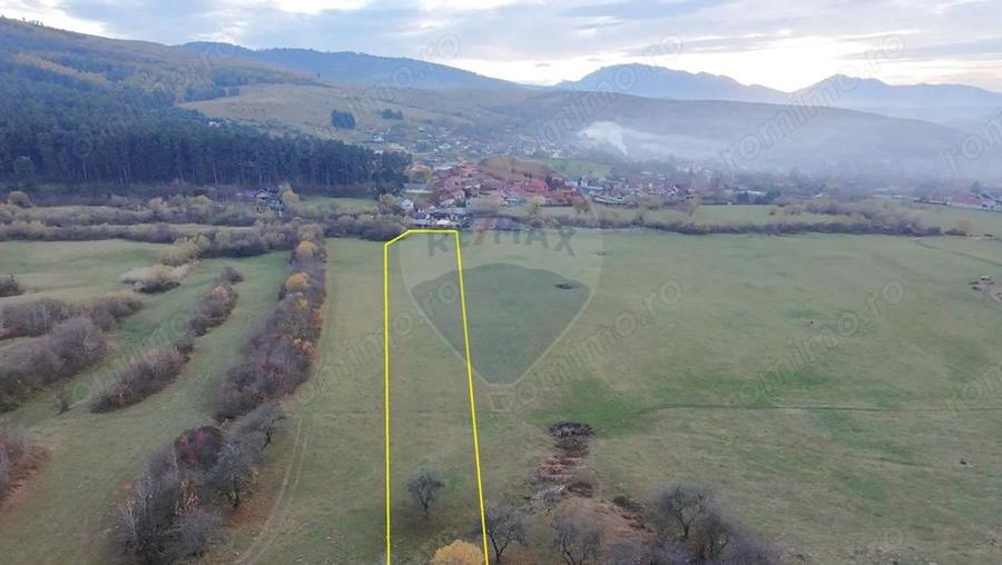 Teren 5.800 mp Purcareni curent, gaz, apa / Strada 30 decembrie - 8