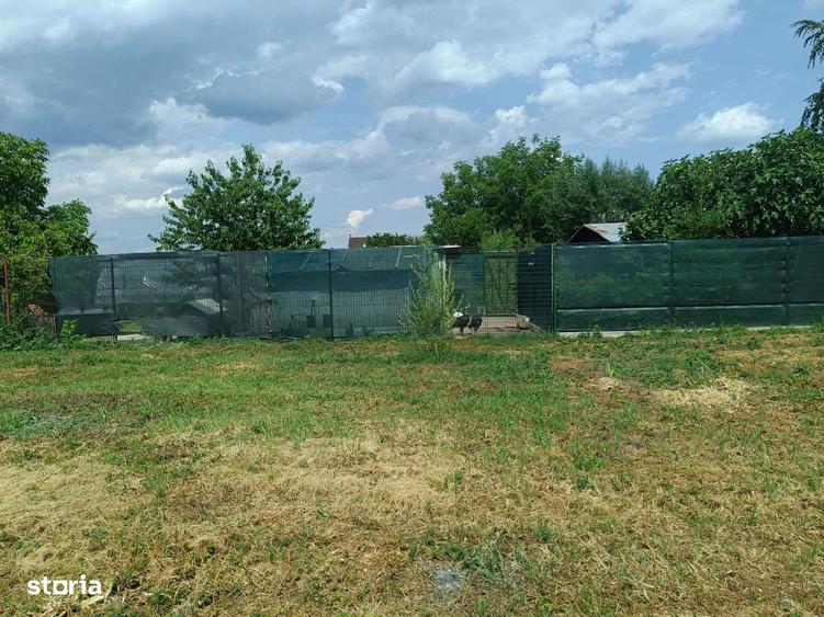 6 parcele intravilane de 485 mp in Mihai Voda, Bolintin Deal, Giurgiu - 3