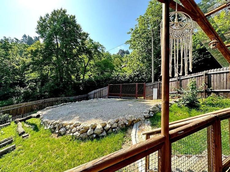 TEREN UNIC in Schei cu cabana - 5