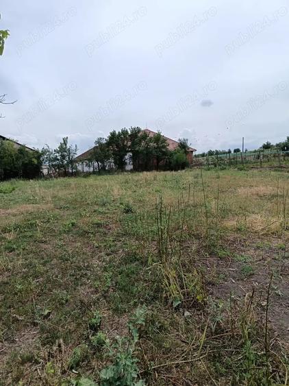 Casa ?i gradina 2100 mp - 5