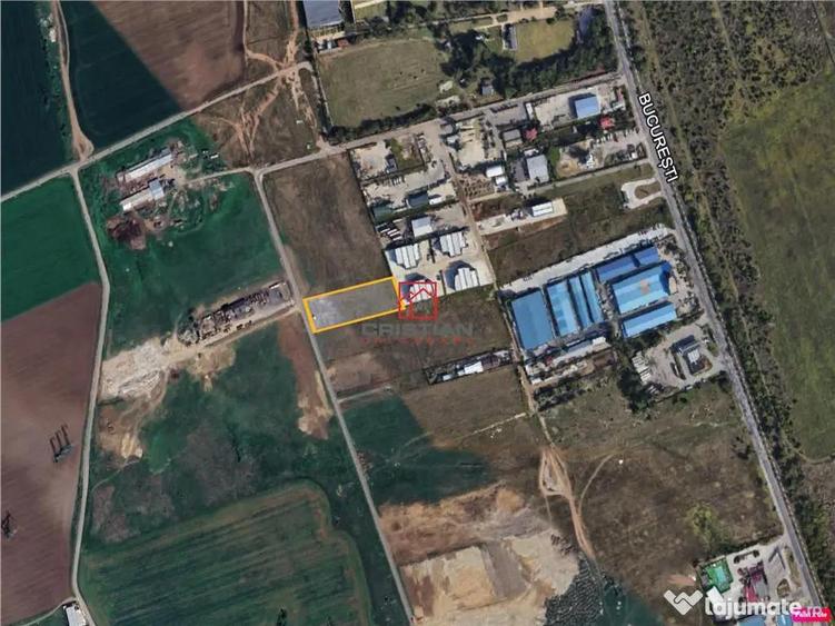 Teren pietruit Domnesti - Centura, ILFOV - 4