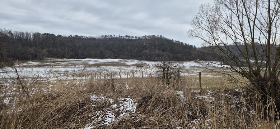 De vanzare 1.7ha teren-6 euro/mp - 3