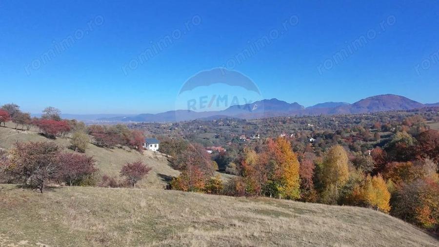 Teren 3,500mp Bran / Strada Bradul Inalt - 7