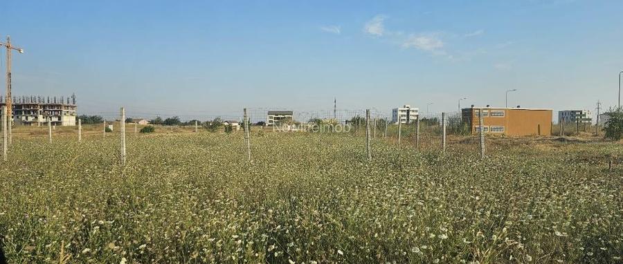 Teren Veterani/ colt