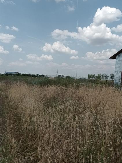 Vand teren intravilan în Rosiori de Vede - 2