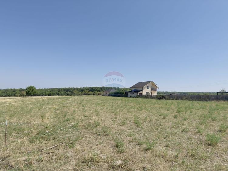 Teren 2,841mp Apateu / Strada Principala langa Biserica Ortodoxa - 17