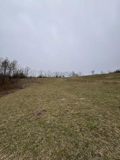 Vand teren extravilan zona Banila-KM8(Resita) - 1